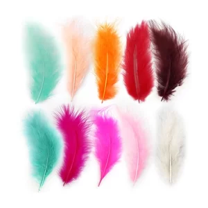 Plumas